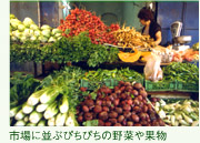 市場にならぶぴちぴちの野菜や果物